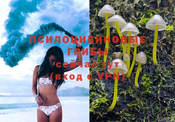 мескалин Козловка