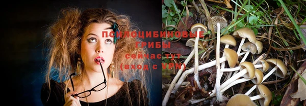 таблы Козельск