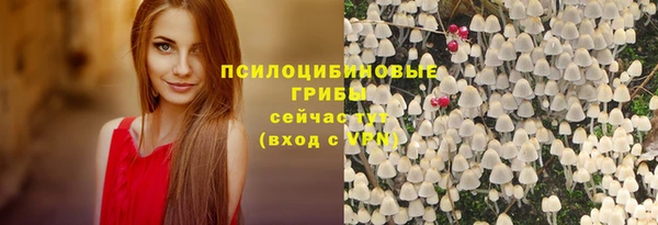таблы Козельск